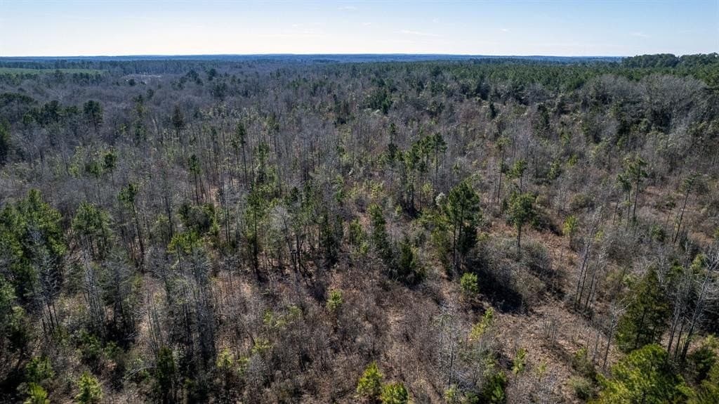 18.8 acres in Cass County - photo 11