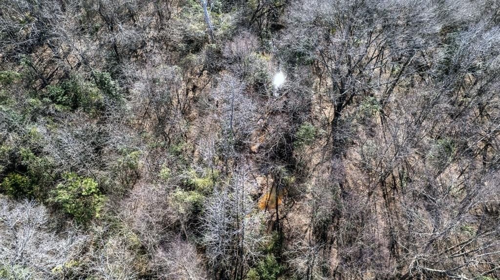 18.8 acres in Cass County - photo 10