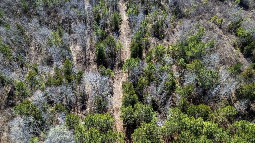 18.8 acres in Cass County - photo 8