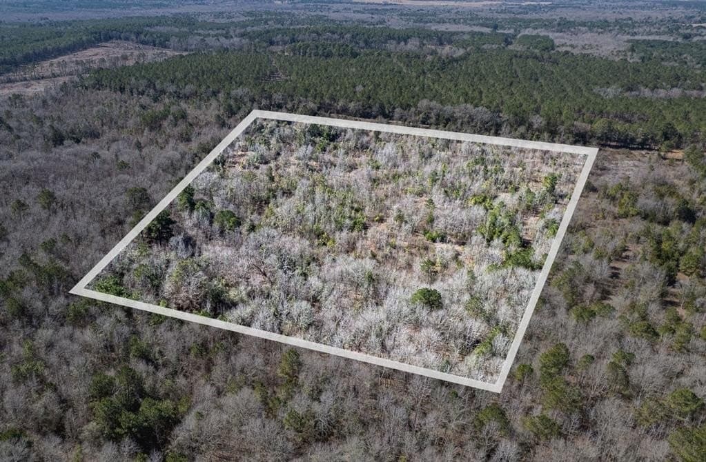 18.8 acres in Cass County - photo 2