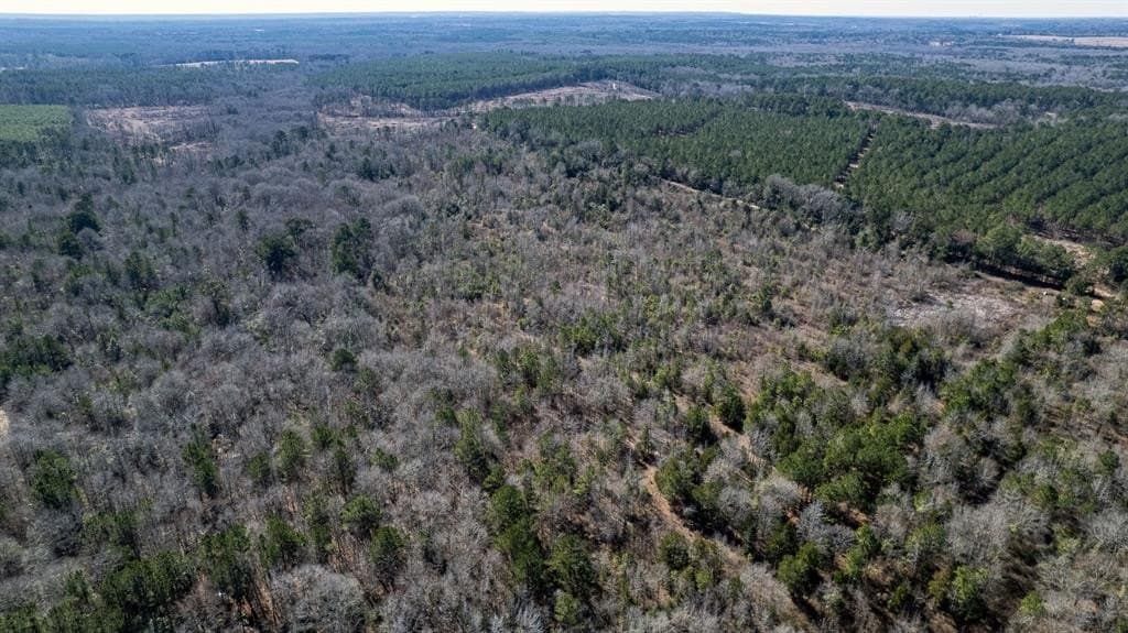 18.8 acres in Cass County - photo 5