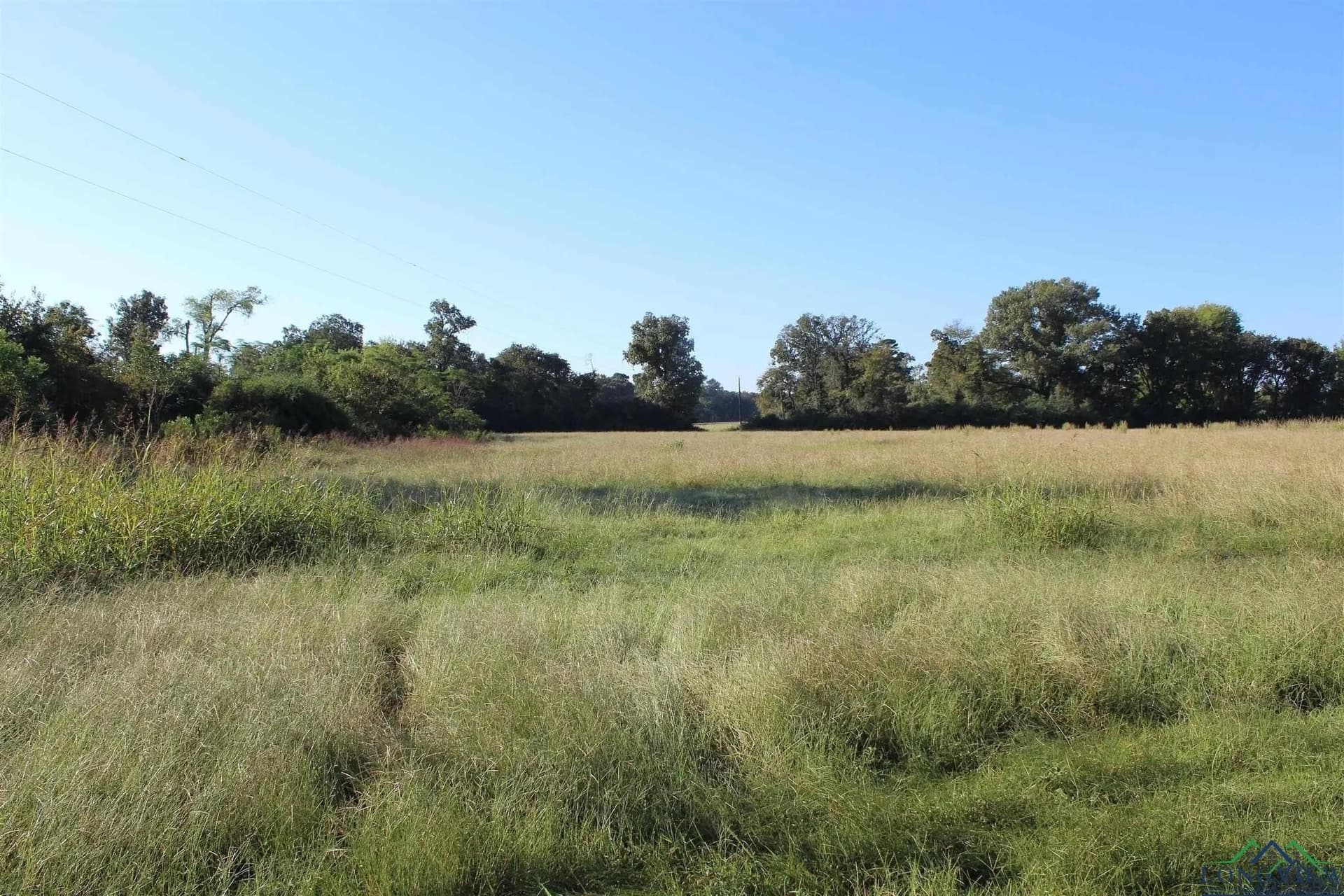 25 acres in Marion County - photo 3