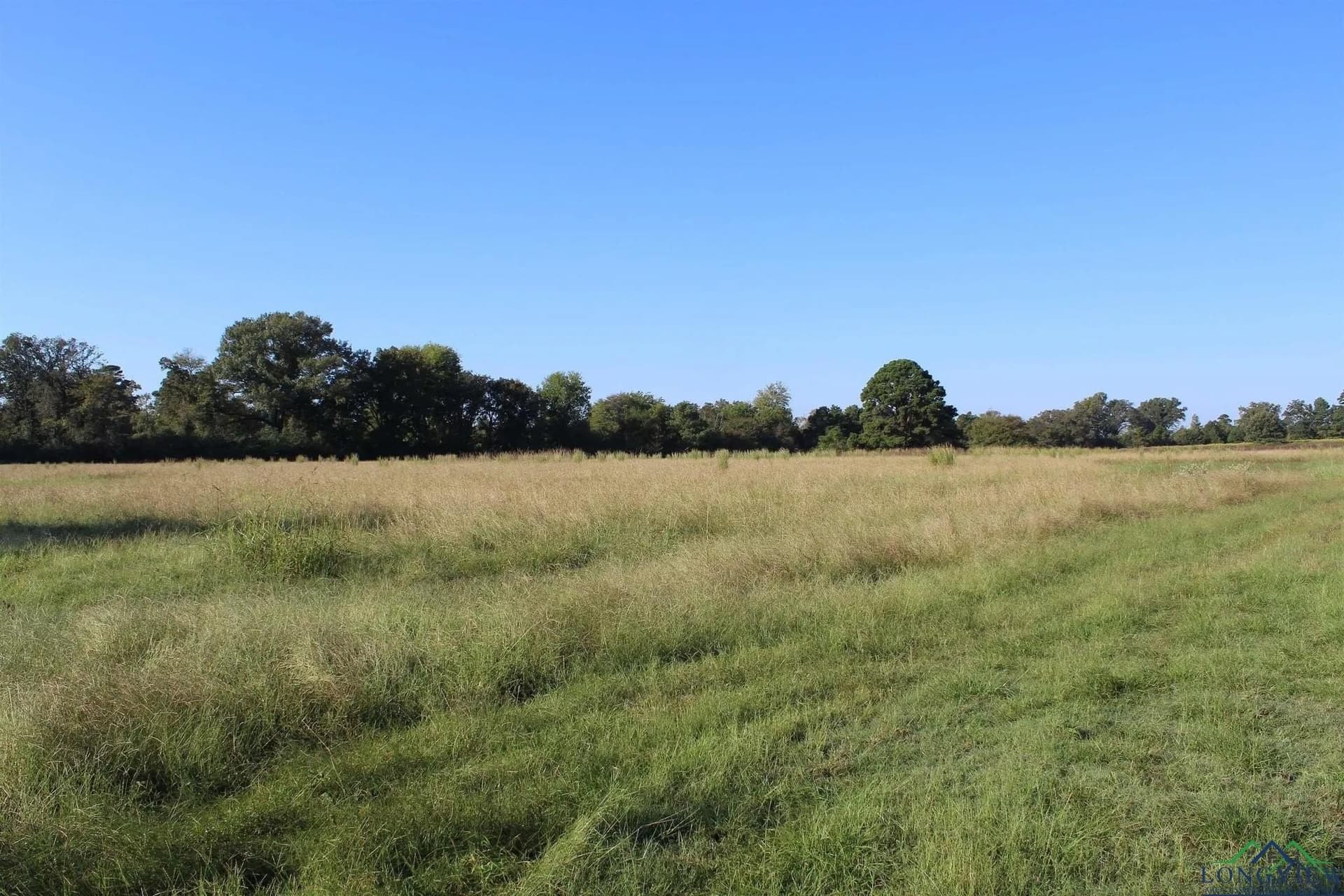 25 acres in Marion County - photo 4