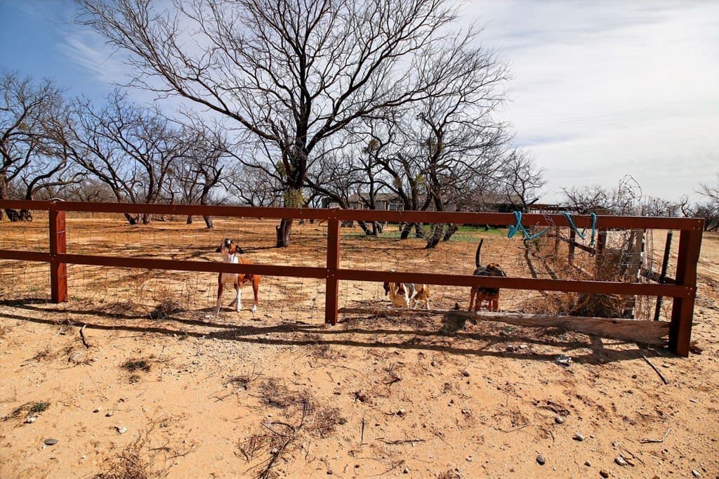 10.94 acres in Tom Green County - photo 41
