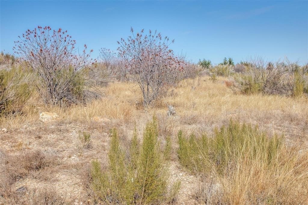 2.93 acres in Palo Pinto County - photo 13
