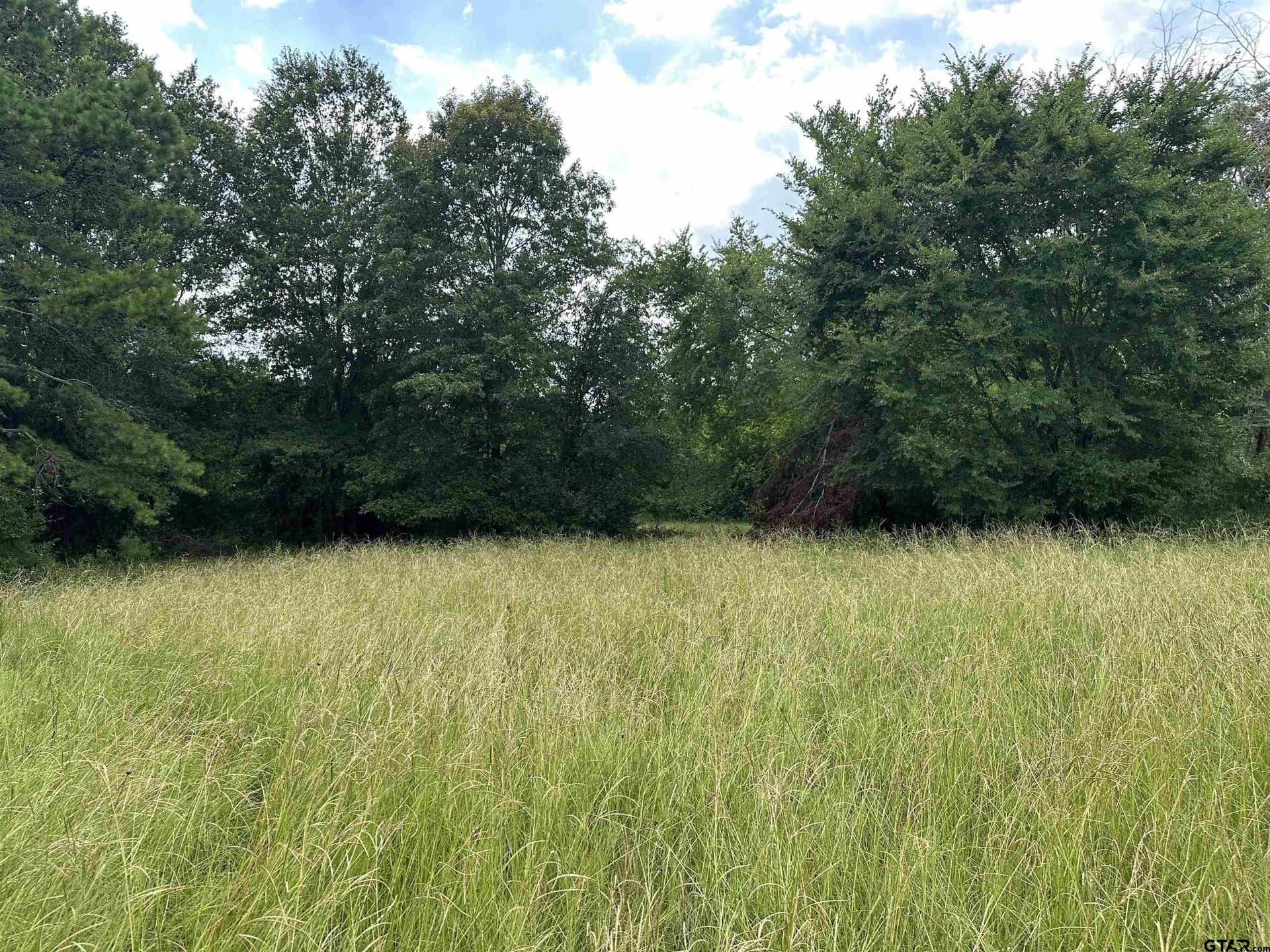 85.07 acres in Anderson County - photo 14
