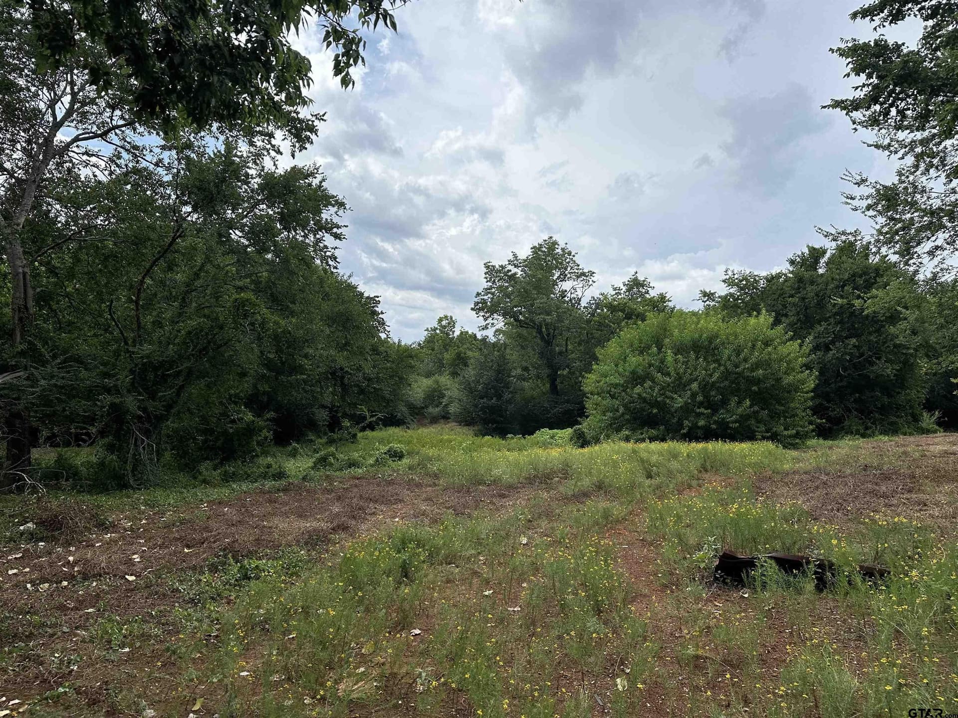 85.07 acres in Anderson County - photo 9