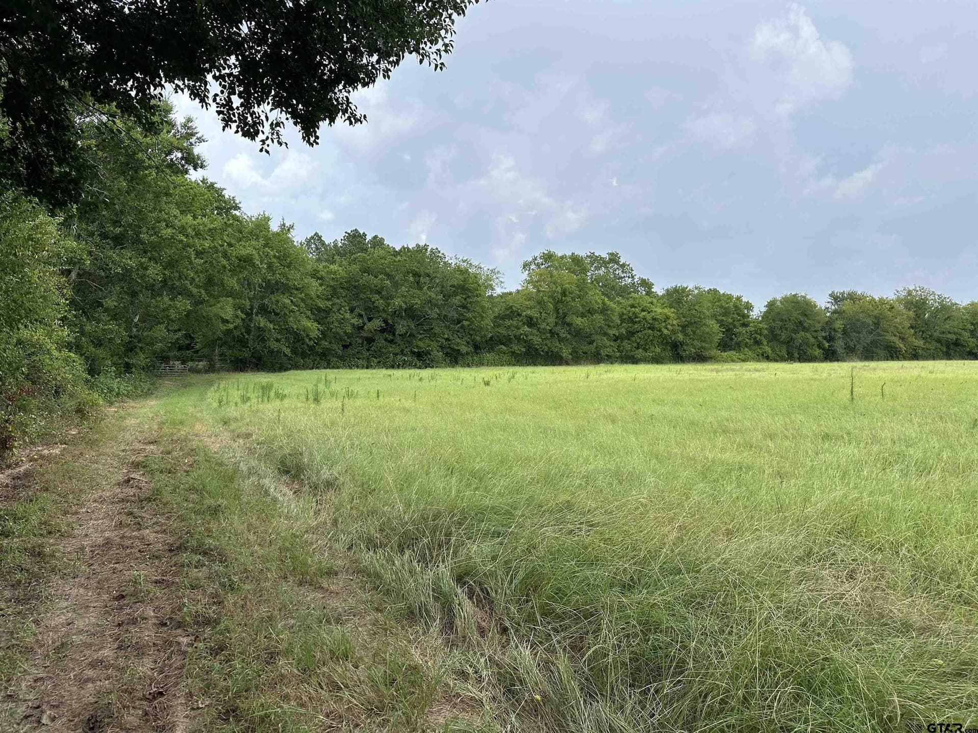 85.07 acres in Anderson County - photo 2