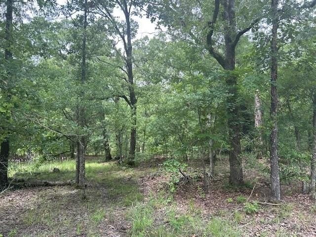 10 acres in Van Zandt County - photo 4