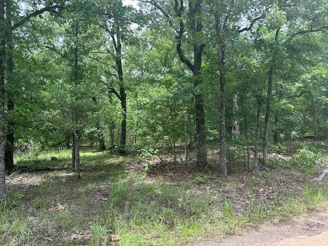10 acres in Van Zandt County - photo 5