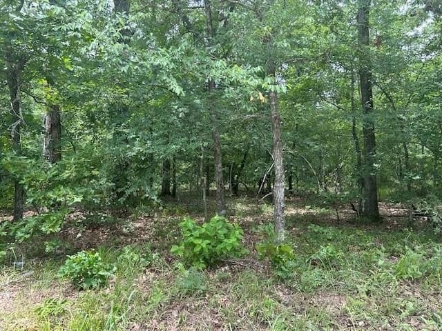 10 acres in Van Zandt County - photo 6
