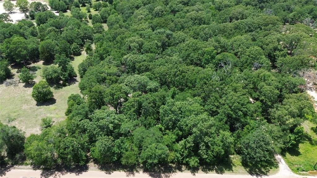 10 acres in Van Zandt County - photo 2