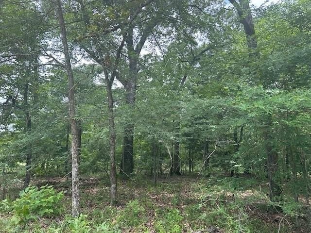 10 acres in Van Zandt County - photo 7