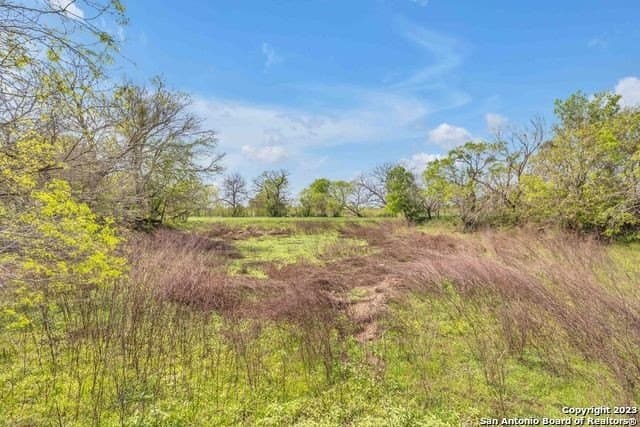0 acres in Bexar County - photo 10
