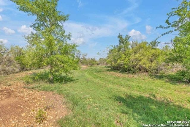 0 acres in Bexar County - photo 7