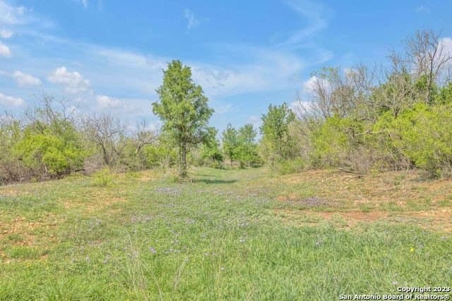 0 acres in Bexar County - photo 17