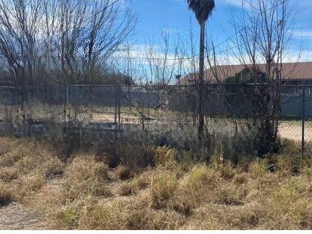 0.24 acres in Webb County - photo 5