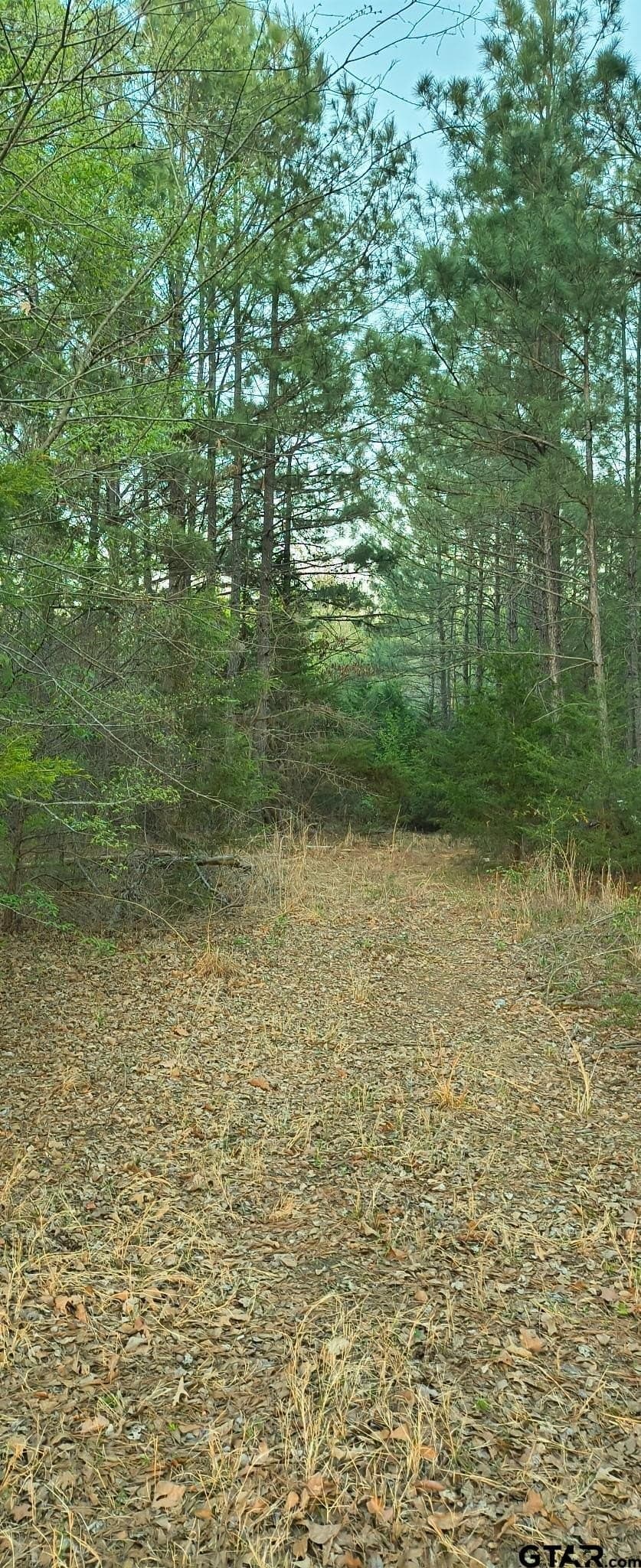 12 acres in Smith County - photo 2