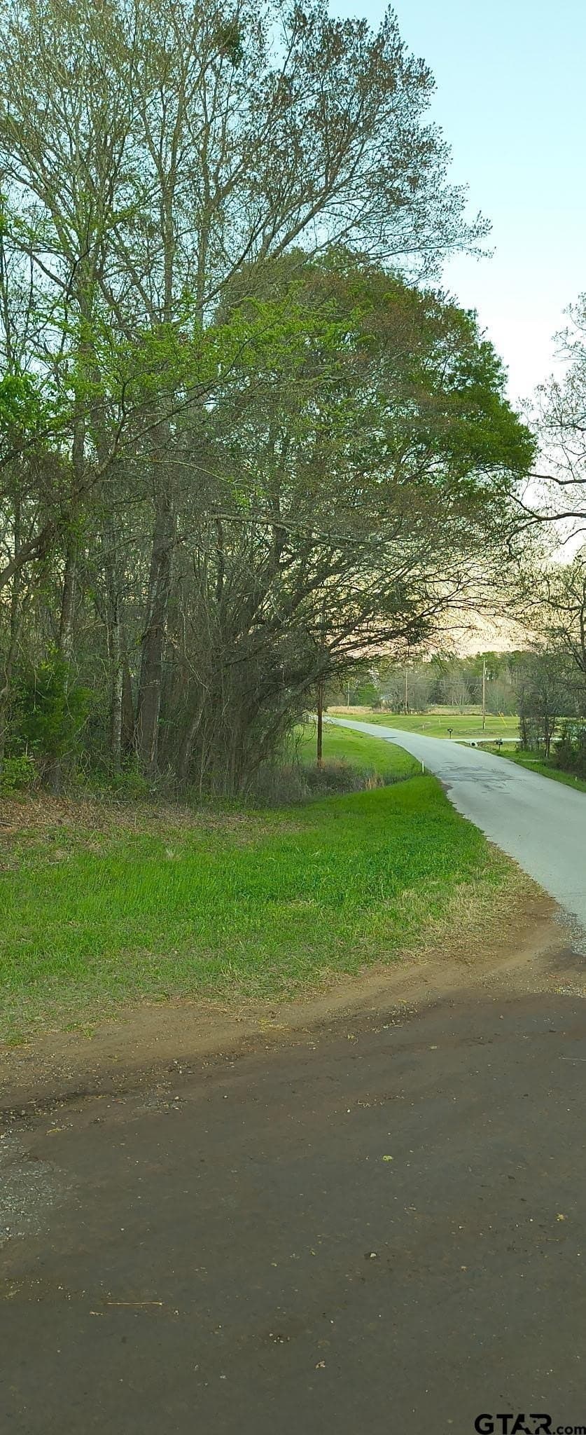 12 acres in Smith County - photo 5