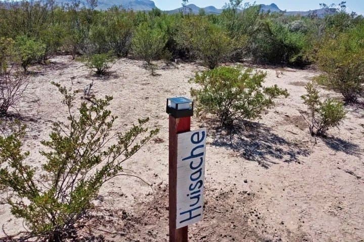 5 acres in Brewster County - photo 21