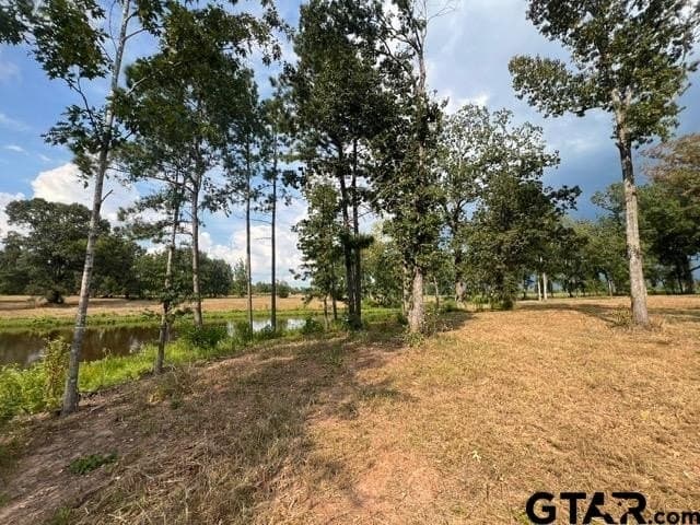 43.5 acres in Gregg County - photo 7