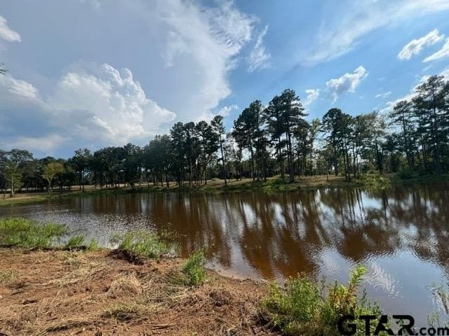 43.5 acres in Gregg County - photo 17