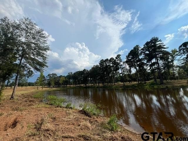 43.5 acres in Gregg County - photo 18