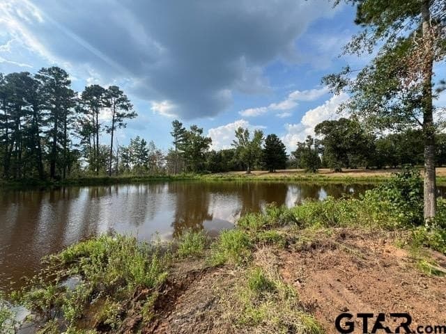 43.5 acres in Gregg County - photo 11
