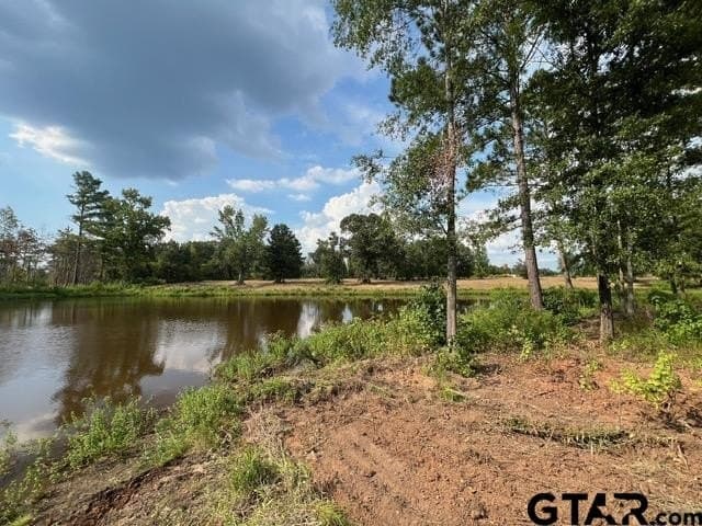 43.5 acres in Gregg County - photo 10