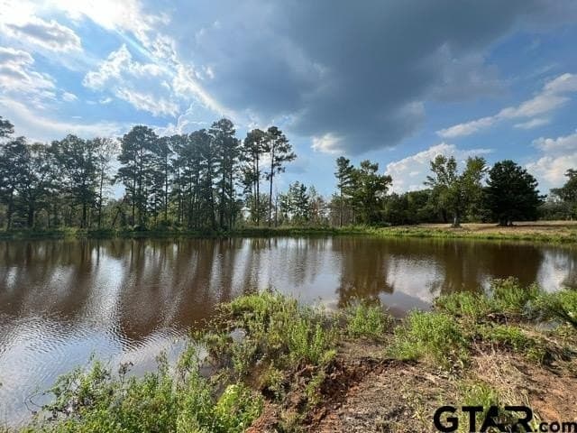 43.5 acres in Gregg County - photo 12