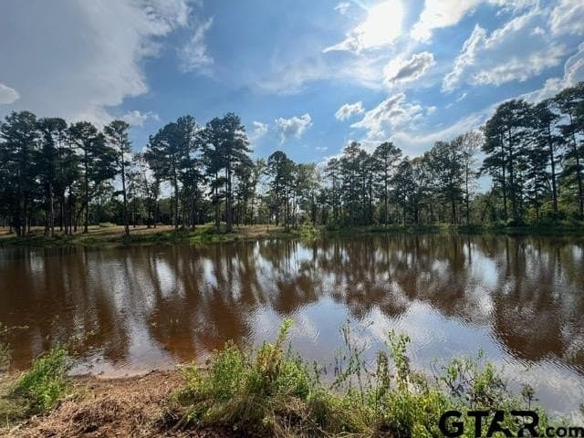 43.5 acres in Gregg County - photo 15