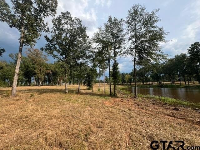 43.5 acres in Gregg County - photo 4