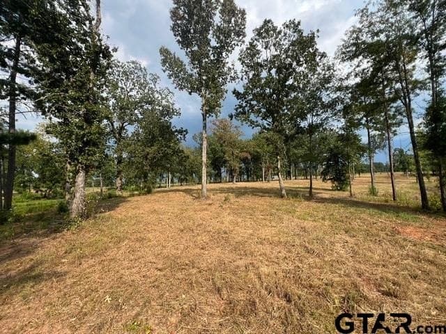 43.5 acres in Gregg County - photo 6