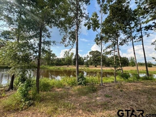 43.5 acres in Gregg County - photo 8