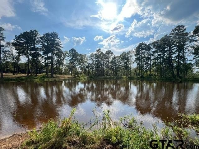 43.5 acres in Gregg County - photo 14
