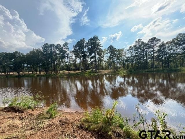 43.5 acres in Gregg County - photo 16