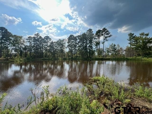 43.5 acres in Gregg County - photo 13