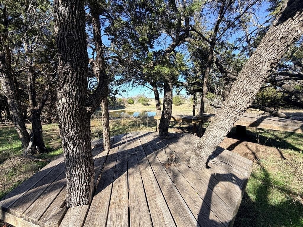 33.32 acres in Mills County - photo 4