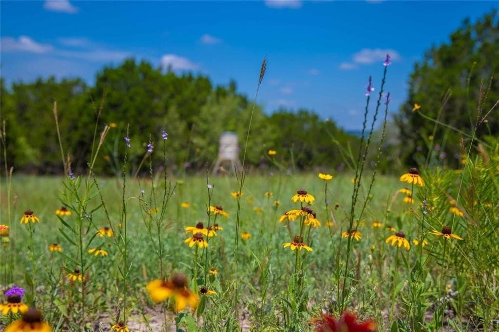 52.78 acres in Mills County - photo 13