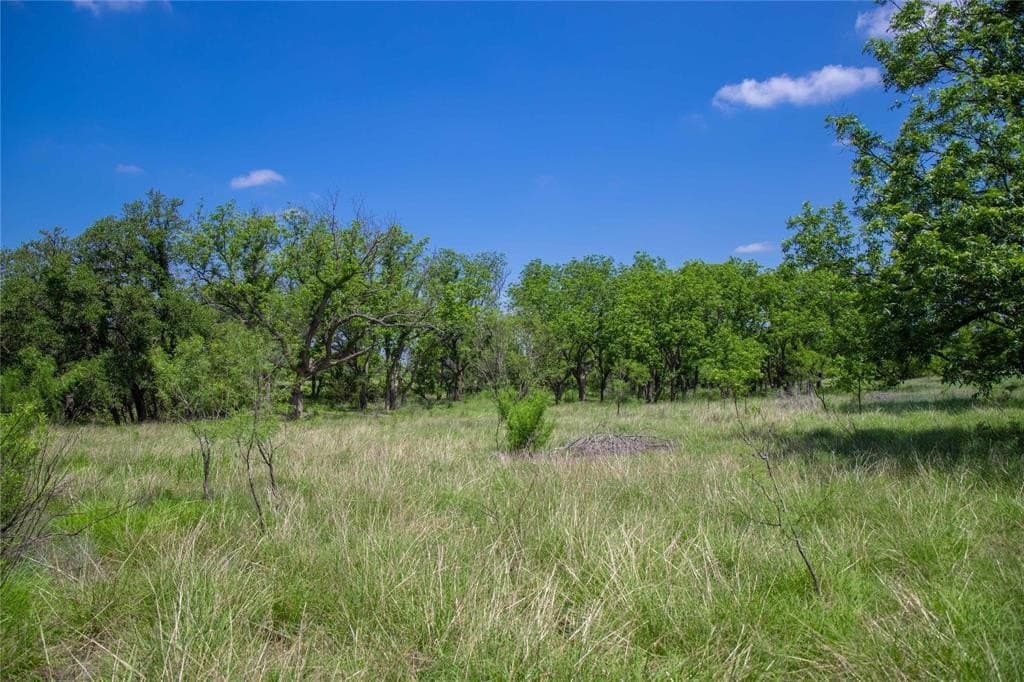 52.78 acres in Mills County - photo 6