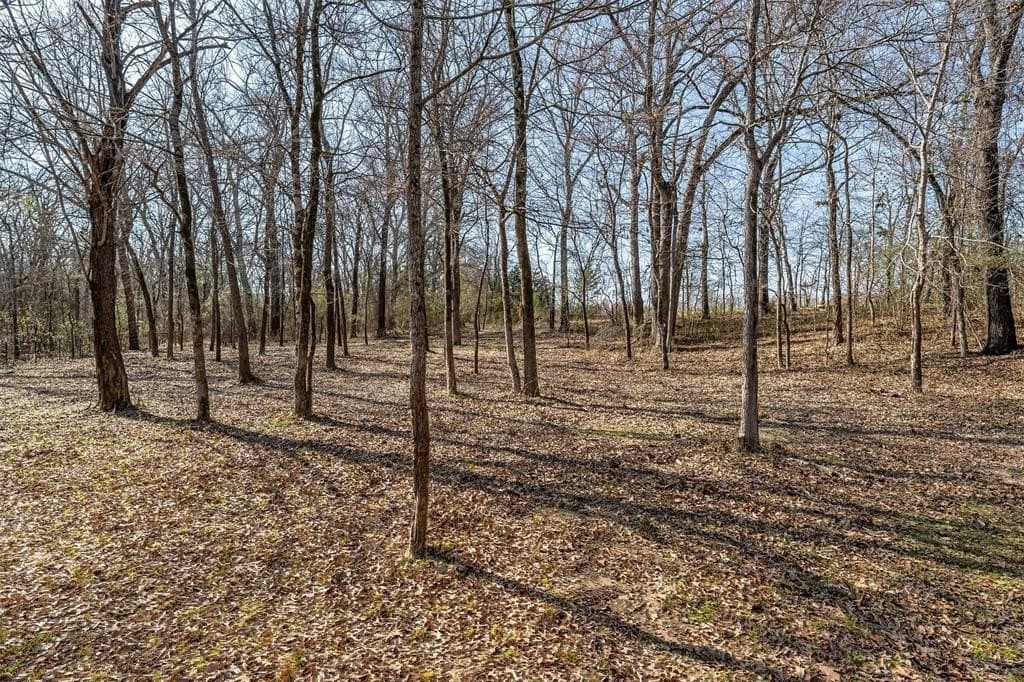27.21 acres in Van Zandt County - photo 27