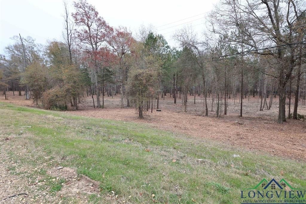 10.91 acres in Rusk County - photo 2