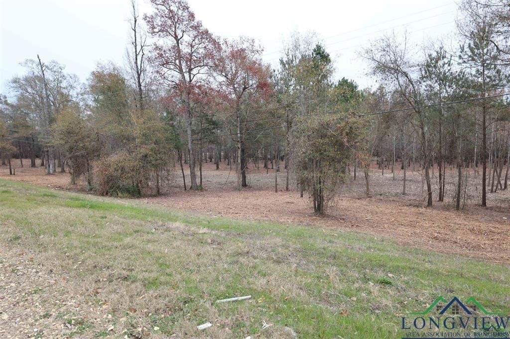 10.91 acres in Rusk County - photo 3