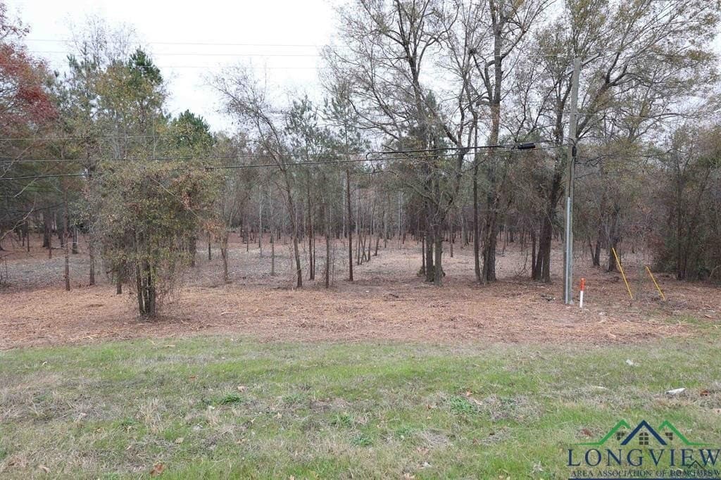 10.91 acres in Rusk County - photo 4