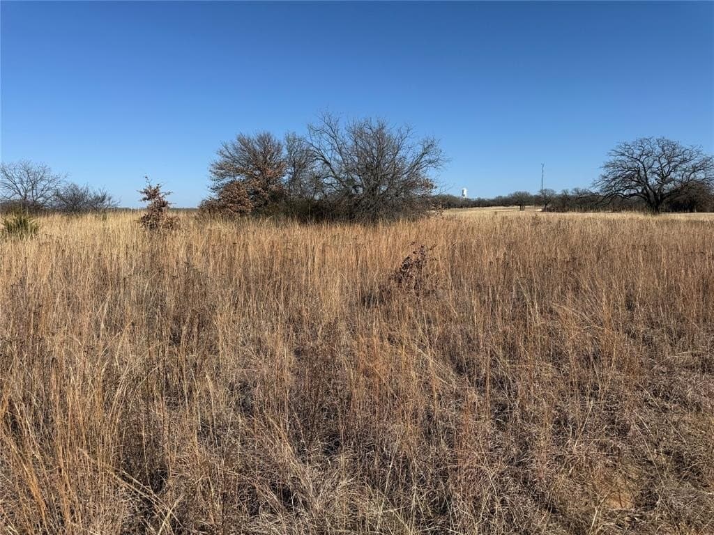 0.3 acres in Montague County - photo 2
