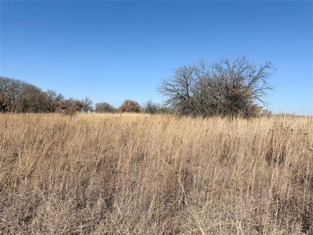 0.3 acres in Montague County - photo 3