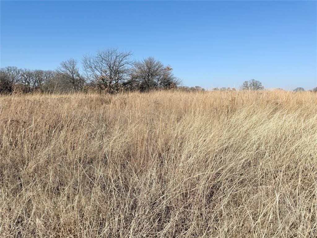0.3 acres in Montague County - photo 4