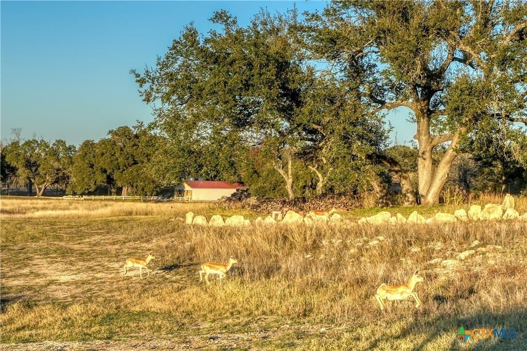 10 acres in Blanco County - photo 13