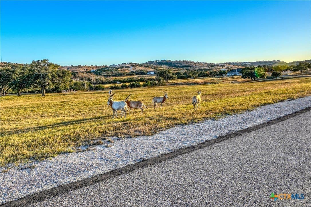 10 acres in Blanco County - photo 12
