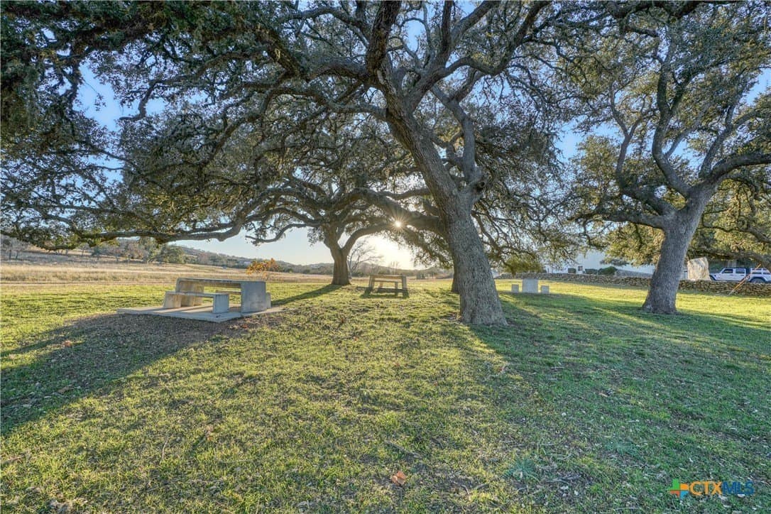 10 acres in Blanco County - photo 18